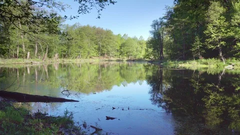Static shot of the lake. Stock Footage 111598301