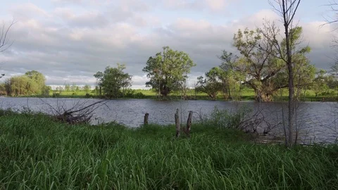 Static shot on the lake. Stock Footage 113653995