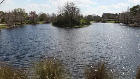 Static shot at lake Video stock 238039911