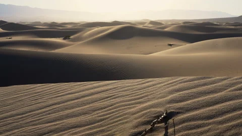 Static shot of a large dune field in bright morning sun. 動画素材 155034796