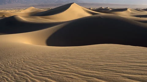 Static shot of a large sand dune bathed in golden morning light. 動画素材 155061433