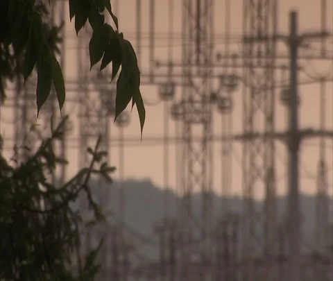 Static shot of leafy branch and power plant silhouette in background Stock Footage 86694734