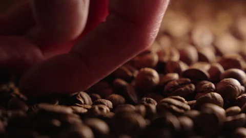 Static shot of a male hand touching and pushing coffee beans. Видео 332684478