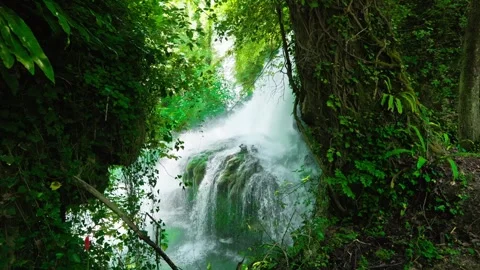Static shot of Marmore Waterfall with lush greenery and strong water flow Stock Footage 315348256