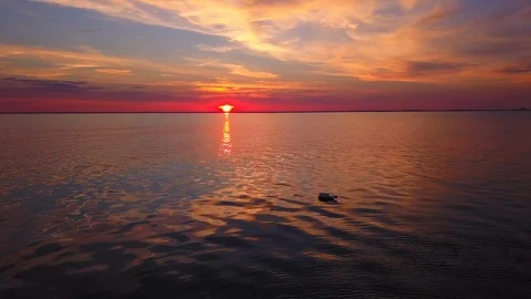 Static shot of a message in a glass bottle, floating in the sea, calm, Stock Footage 106573915