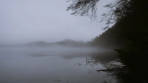 Static Shot of Misty Lake with Dark Forest Edge Stock Footage 329938324