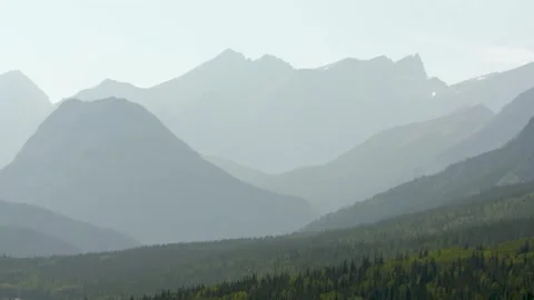 Static shot of mountain forest covered in fog Stock Footage 160807681