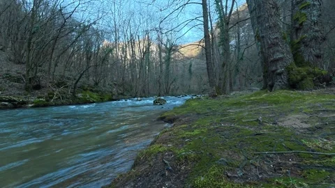 Static Shot of Mountain River Flowing – Blue Water, Mossy Bank, Autumn Forest Video stock 330952897