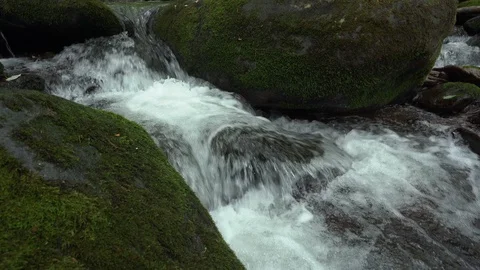 Static shot of a mountain stream Stock Footage 112146930