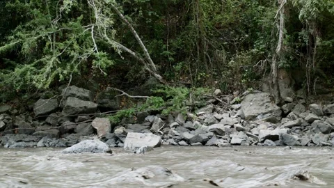 Static shot of murky river, rocks on bank and forest in Cundinamarca, Colombia,  Stock Footage 153802098