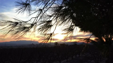 Static shot of nature, a tree moving with the wind Stock Footage 151830410