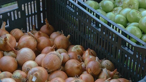Static shot of onions and tomatoes Stock Footage 86010019