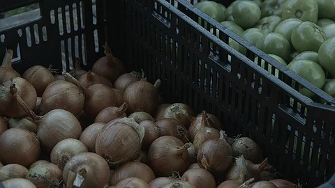 Static shot of onions and tomatoes Stock Footage 86010462