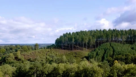 Static shot over the treeline Stock Footage 140883831