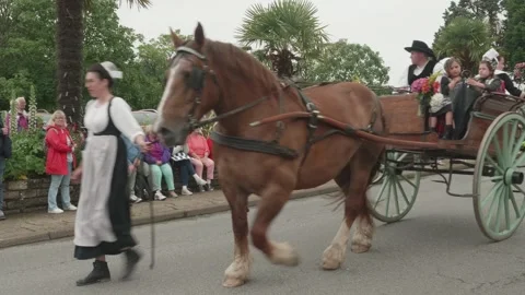 Static shot overcast day cherry festival parade horse drawn cart Brittany France Stock-Footage 341314491