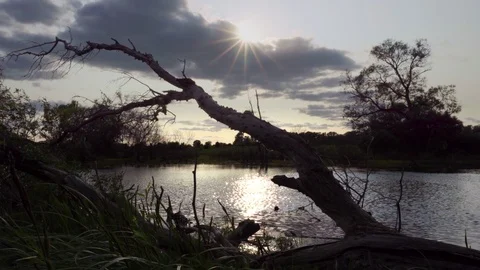 Static shot overlooking the lake. Stock Footage 113655591