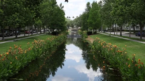 Static shot overlooking park Video stock 245452592