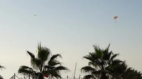 Static shot of palm trees and people having fun on parasailing in Turkey. Stock Footage 259032510