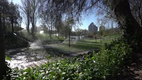 Static shot of a park with sprinkler irrigation system and buildings Stock Footage 158008341