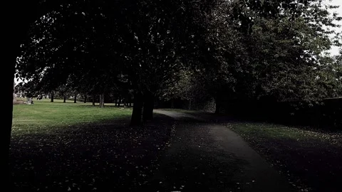 Static shot of path inside necropolis Video stock 160212829