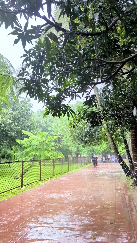Static shot of people with umbrellas walking on a wet park walkway during a.. Video stock 336919979