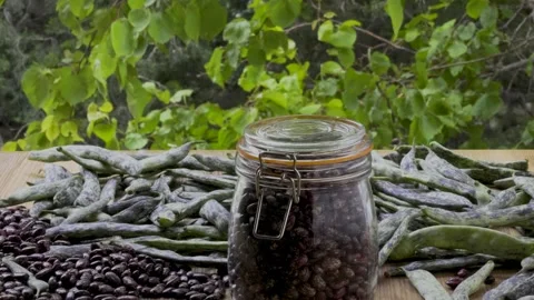 Static shot of pinto beans and jar with waving leaves background, 4K Stock Footage 341747051