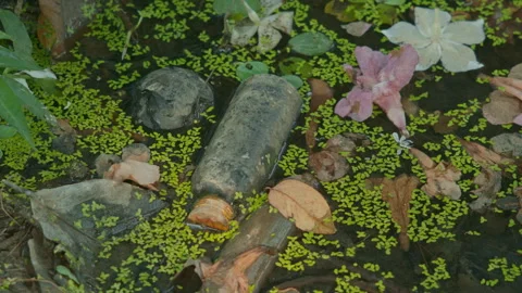 Static Shot of Plastic Bottle and Trash Floating in Pond with Duckweed Stock Footage 329277865