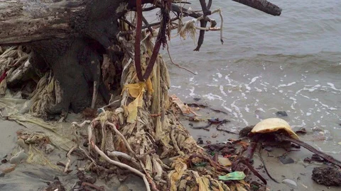 Static shot of the polluted sandy beach with tires and other trash debris. Stock Footage 89860292