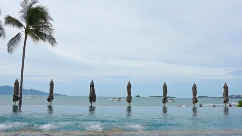 Static shot of a pool, closed parasols, a palm treee and the sea in the Stock Footage 111806844