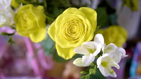 Static shot of a pretty yellow rose Stock Footage 137457936