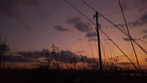 Static shot of pylons and electrical power lines at sunset. Stock Footage 116996491