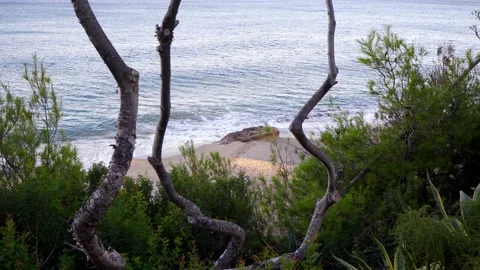Static shot of quiet beach between trees and nature seen from height. Expected Stock Footage 218587450