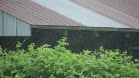 Static shot of rain falling on metal roof, green leaves in foreground. Stock Footage 86757475