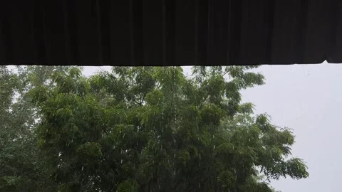 Static Shot of Rain Falling From Metal Sheet Roof During Monsoon Video stock 342589906