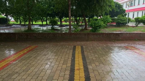 Static Shot of Rain Falling on Wet Brick Pavement With Puddles in a Green Park Stock Footage 342590324