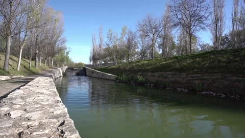 Static shot of a river in a park with a waterfall, calm water Stock Footage 158008357
