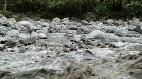 Static shot of river rapids and rocks on river bank  Stock Footage 153802205