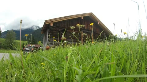 Static Shot Rustic Alpine Barn Wildflower Meadow Overcast Achensee Austria Stock Footage 338162577