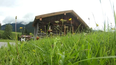 Static Shot Rustic Alpine Barn Wildflower Meadow Overcast Achensee Austria Stock Footage 338162638
