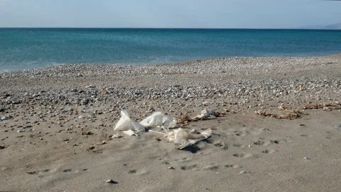 Static shot of a sandy beach  with many plastic garbage. Stock Footage 121575478
