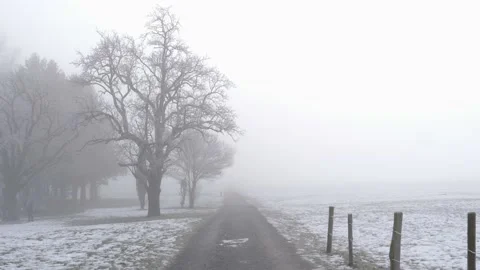 Static shot of scary empty road leading into thick fog on a gloomy winter day. Video stock 169746987