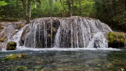 Static shot of slow motion waterfall in the forest. Green trees and moss Stock Footage 186632235