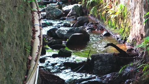 Static Shot of Small Rocky Stream Flowing Through Drainage Channel in China Stock Footage 329947367