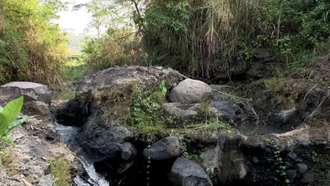 Static Shot Of A Small Stream Cascading Over Dark Rocks In A Lush Green Bamb Stock-Footage 346598949