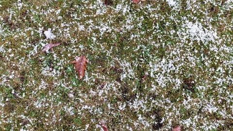 Static Shot of Snow Falling Slowly on Green Grass Video stock 99534440
