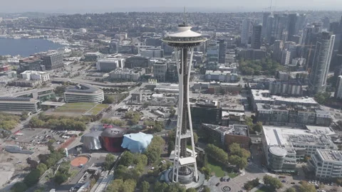 Static shot SPACE NEEDLE Stock Footage 317753189