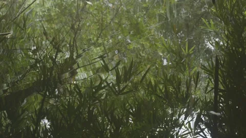 Static shot of the stream 스톡 동영상 145066061