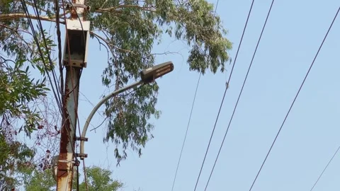 Static shot of streetlight pole and electric power lines Video stock 336681036