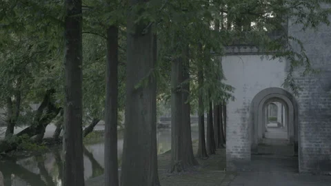 Static shot of the temple and trees Stock Footage 286172609