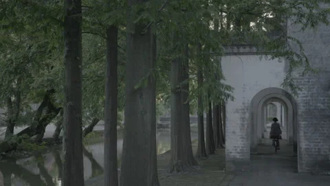 Static shot of temple with trees a cyclist by Stock Footage 286173271